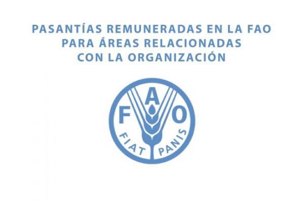 Pasantías remuneradas en la FAO para áreas relacionadas con la Organización